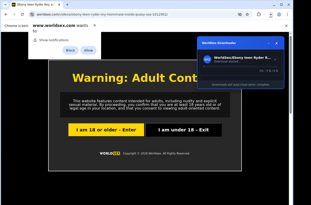 Worldsex Video Downloader screenshot 2